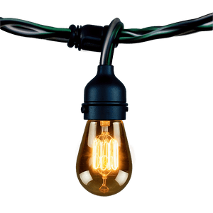 Outdoor String Lights PNG 05252024 PNG image with transparent background