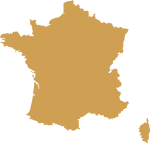 Dmc France Map - France Flag Clipart, HD Png Download PNG image with transparent background