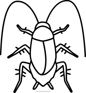 Outlined Cockroach Illustration PNG