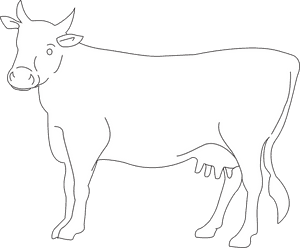 Cow Vector Png White, Transparent Png PNG with transparent background