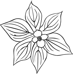 Flower Outline Svg Clip Arts - Rainforest Flowers Clipart, HD Png Download PNG image with transparent background