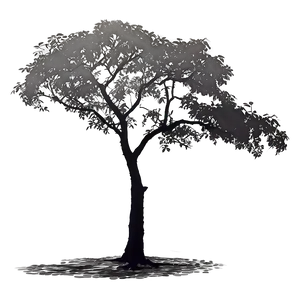 Overcast Tree Shadow Png Agx PNG Image