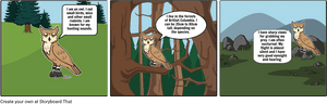 Rainforest Succession, HD Png Download PNG image with transparent background