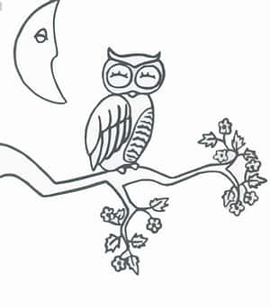 Owlon Branch Line Art PNG image with transparent background
