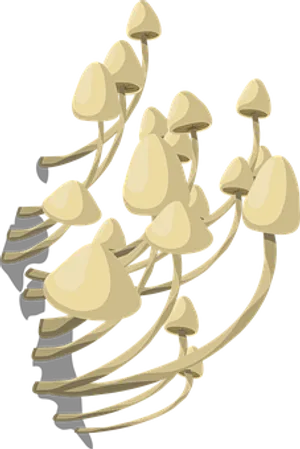 Oyster Mushroom Cluster Illustration PNG Image