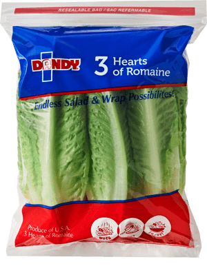 Dandy Hearts Of Romaine, HD Png Download PNG image with transparent background