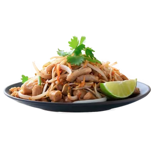 Pad Thai With Bean Sprouts Png 06252024 PNG Image