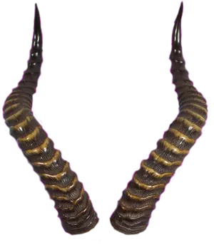 Pairof Devil Horns Isolatedon Black PNG Image