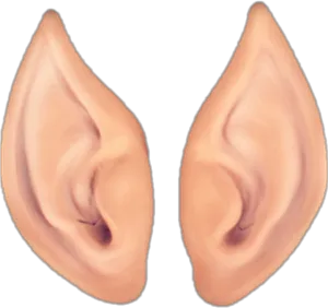 Pairof Human Ears Illustration PNG Image