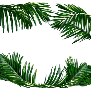 Palm Leaf Border Png Jti PNG Image