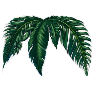 Palm Leaf Border Png Wib62 PNG Image