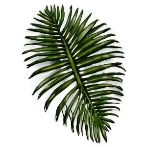 Palm Leaves Silhouette PNG utl82 PNG image with transparent background