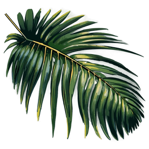 Palm Leaves Vector PNG rdu63 PNG image with transparent background