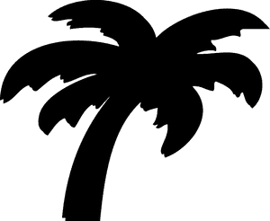 Palm Silhouette Graphic PNG image with transparent background