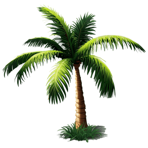 palm tree d PNG image with transparent background
