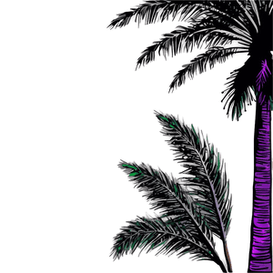 Palm Tree Silhouette PNG 04292024 PNG image with transparent background