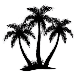 Palm Tree Silhouette PNG 79 PNG image with transparent background