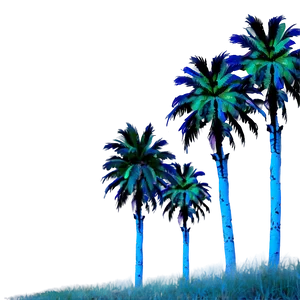 Palms At Dawn Png Nkw PNG Image