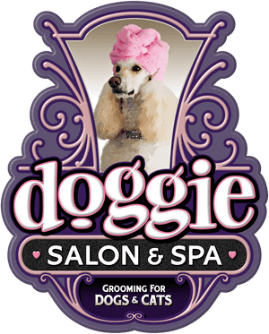 Dog Bath Png, Transparent Png PNG image with transparent background