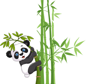 Collection Of Free Panda Transparent Bamboo Download - Cartoon Panda Bamboo, HD Png Download PNG with transparent background
