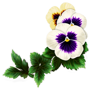 Pansy Border PNG 29 PNG