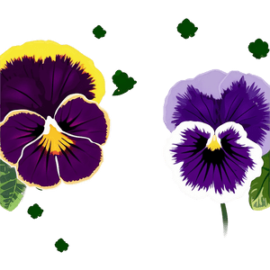 Pansy Clip Art PNG 06232024 PNG