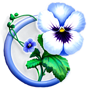 Pansy Flower PNG 06232024 PNG image with transparent background