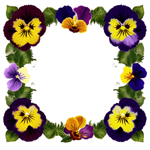 Pansy Frame PNG 06232024 PNG