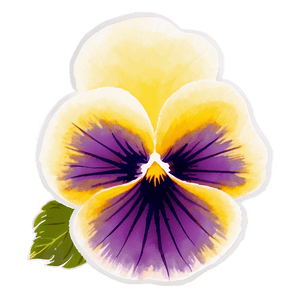Pansy Pattern PNG 06232024 PNG