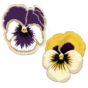 Pansy Sketch PNG har PNG