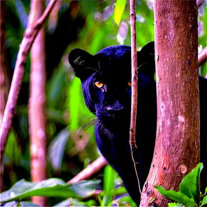 Panthers In Habitat Conservation Png 39 PNG Image