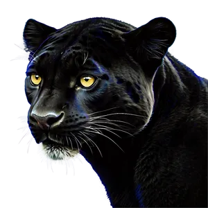 Panthers Spirit Animal Png 06202024 PNG Image