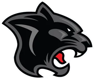 Panthers Team Logo PNG Image