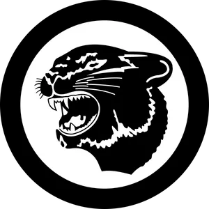 Panthers Team Logo Graphic PNG Image