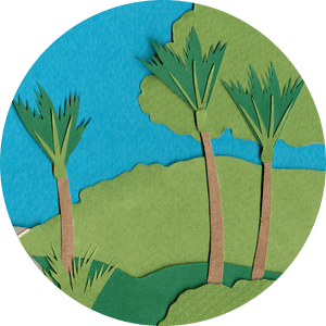 Environment Icon Final@2x , Png Download - Gambel Oak, Transparent Png PNG image with transparent background