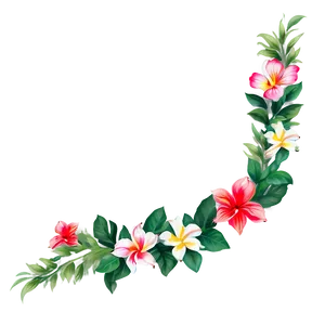 Paradise Border Graphic Png Osf PNG Image