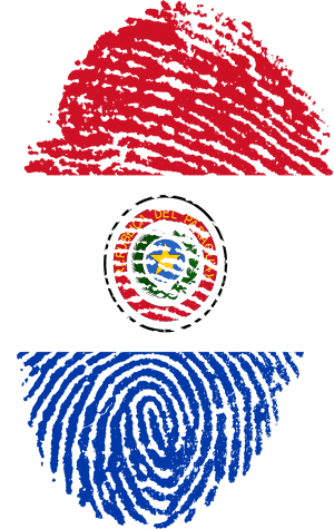 Paraguay Flag Fingerprint Art PNG image with transparent background