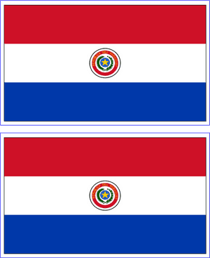 Paraguay National Flag Frontand Back PNG image with transparent background