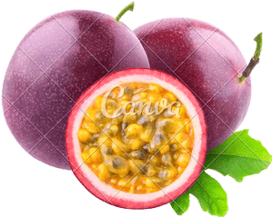 Isolated Maracuya Photos By Canva - Transparent Passion Fruit Png, Png Download PNG with transparent background