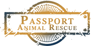 Par Hi Res Stamp - Illustration, HD Png Download PNG image with transparent background