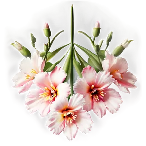 Pastel Aesthetic Flowers Png 06282024 PNG Image