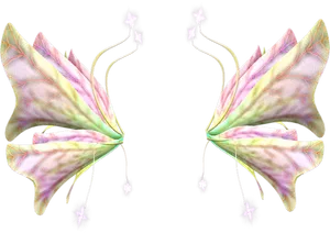 Pastel_ Fairy_ Wings_ Symmetrical_ Design.png PNG Image