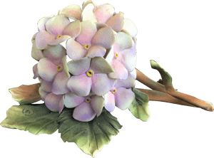 Transparent Hydrangea Vintage, HD Png Download PNG image with transparent background