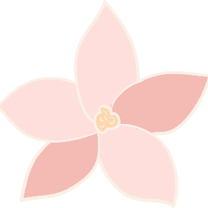 This Illustrated Floral Note Card Set Of 6 Is Perfect - Illustration, HD Png Download PNG image with transparent background