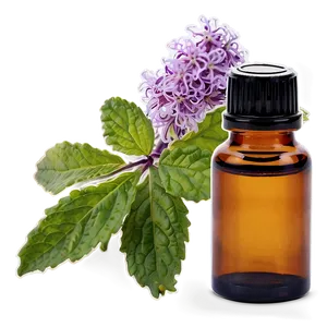 Patchouli Essential Oil Png Jap PNG Image