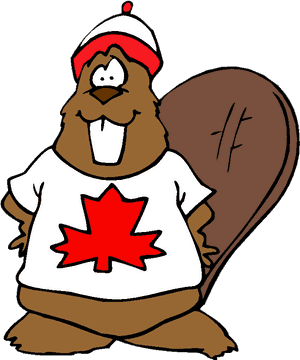 Beaver - Canadian Beaver Clipart PNG image with transparent background