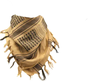 Patterned Brown Scarfwith Fringe PNG Image