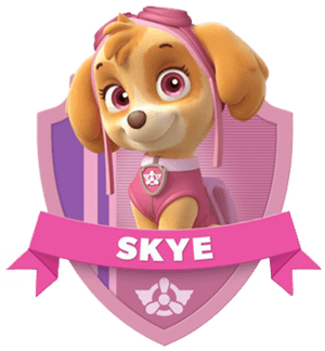 Skye 1 - Skye Paw Patrol Characters, HD Png Download PNG