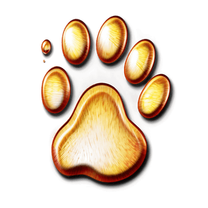 Paw Print Transparent Background PNG 99 PNG image with transparent background