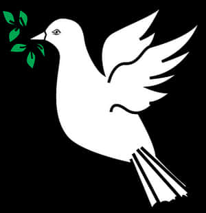Peace Dove Vector Illustration PNG image with transparent background